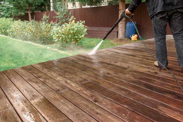 Best Gutter Cleaning  in Somonauk, IL