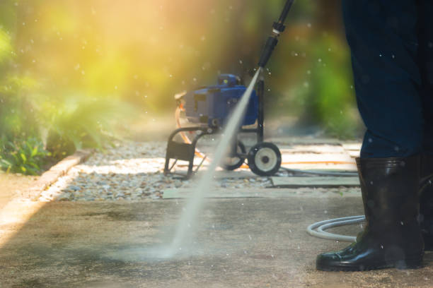 Best Sidewalk and Walkway Cleaning  in Somonauk, IL